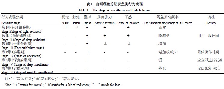 麻醉程度分期及魚類行為表現(xiàn)