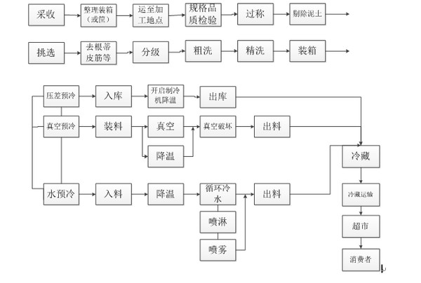 農(nóng)產(chǎn)品冷鏈物流預(yù)冷流程